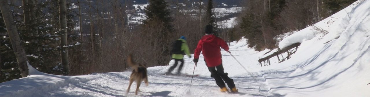 New Discover Valemount Episodes