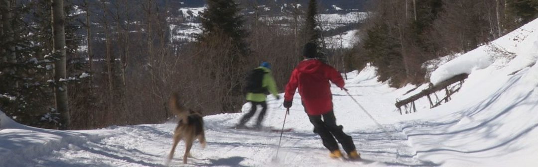 New Discover Valemount Episodes